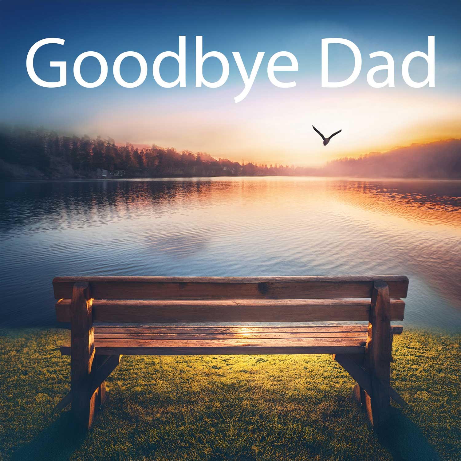 Goodbye Dad song hero banner